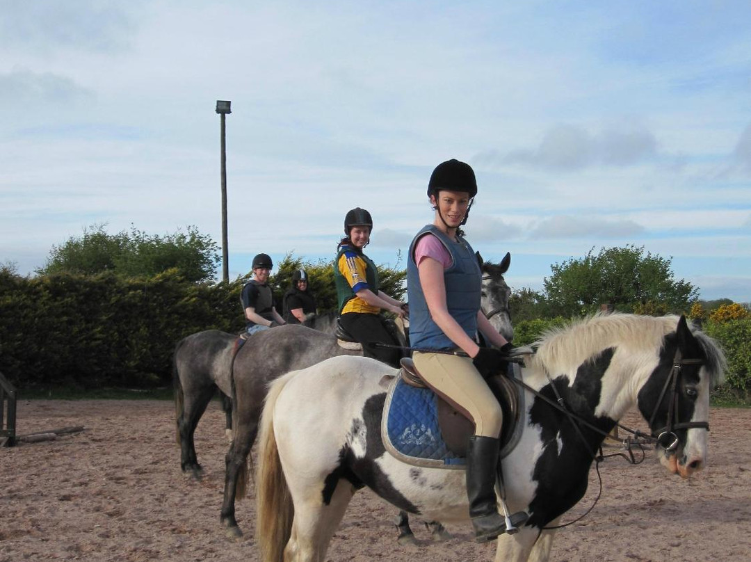 Lucky Meadows Equestrian Centre-科克必去景点
