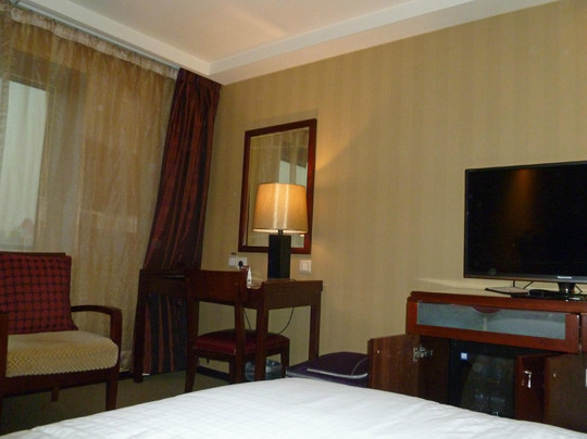 天伦松鹤大饭店主图