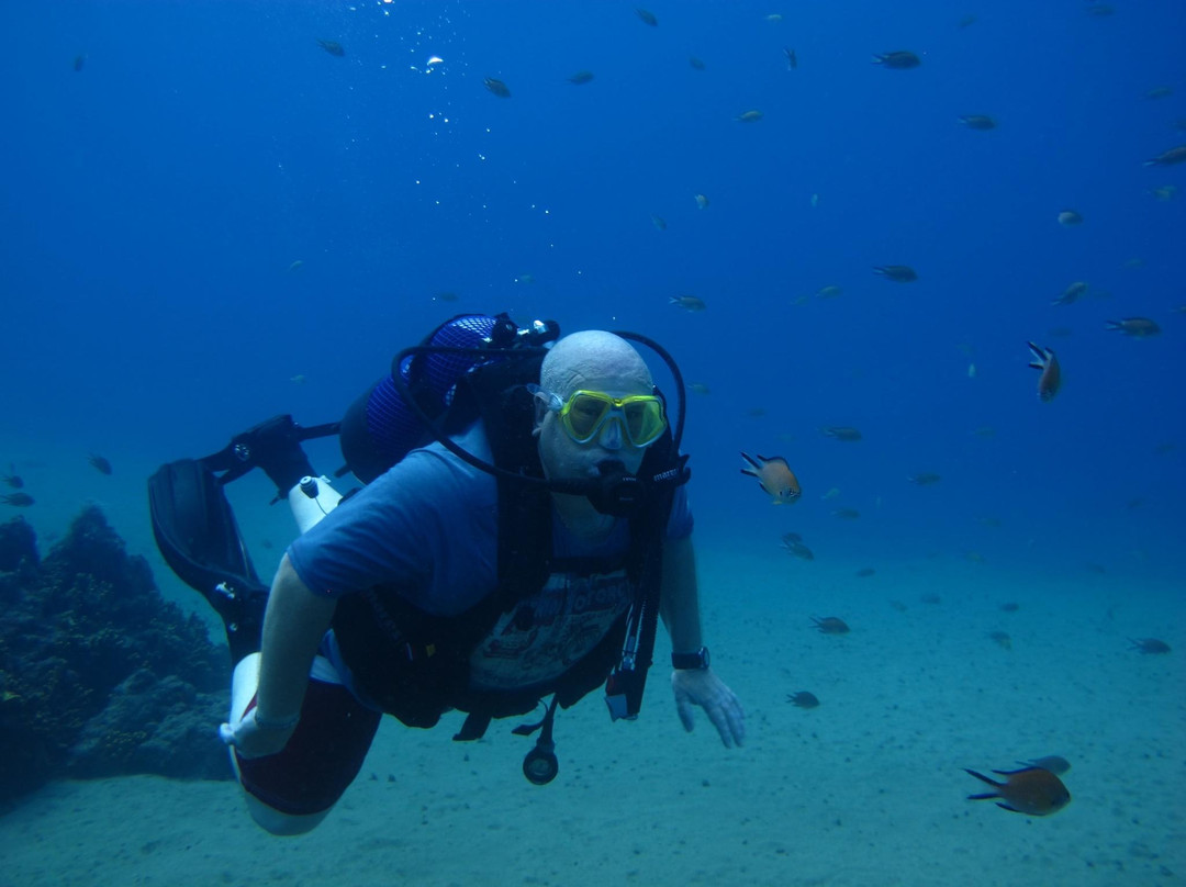 Atlantis Diving Lanzarote景点图片