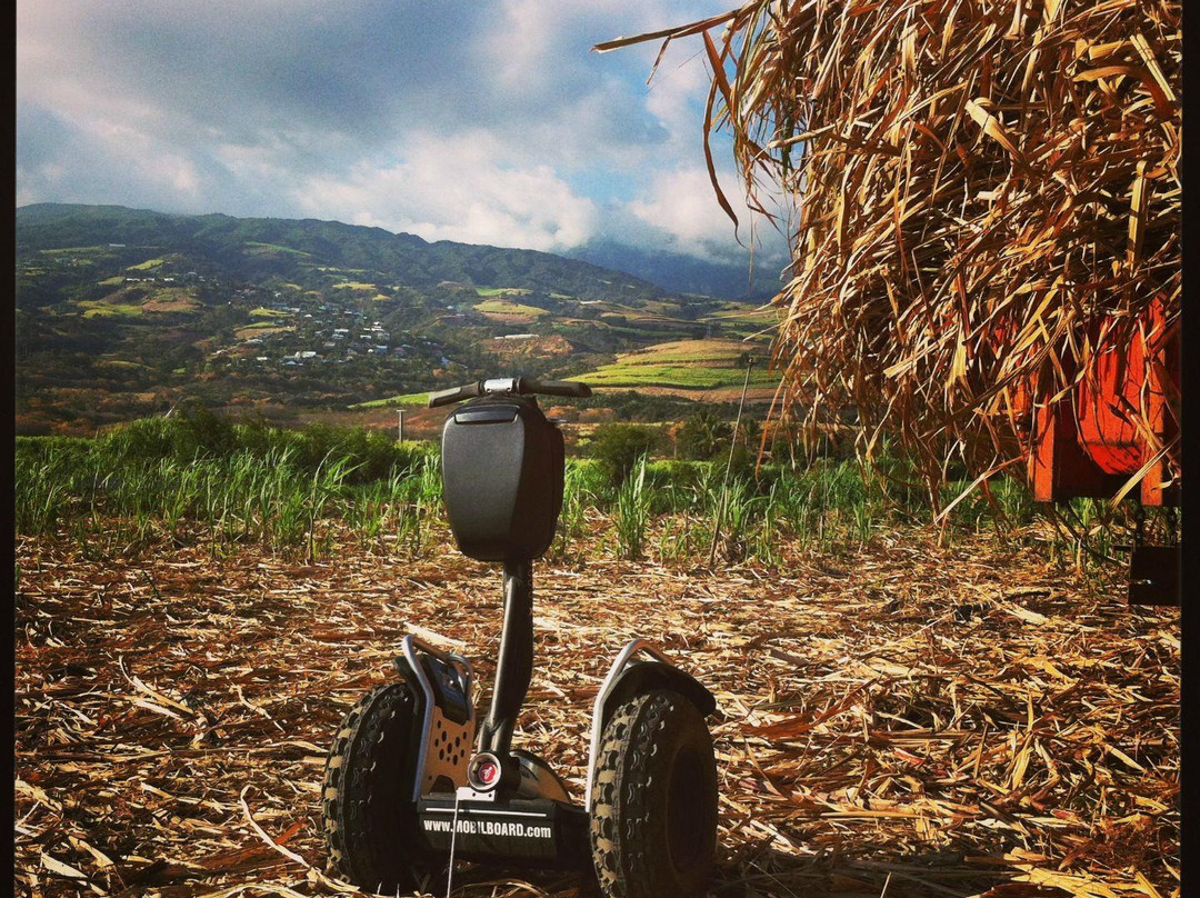 Mobilboard La Reunion-留尼旺圣皮耶必去景点