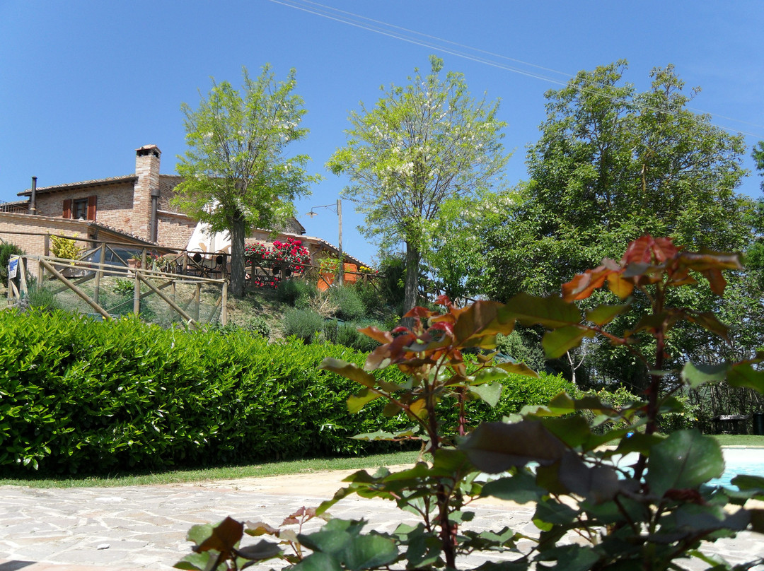 Az.Agr. La Vecchia Camera
