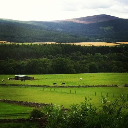 Ballogie旅游景点-World Horse Welfare Belwade Farm