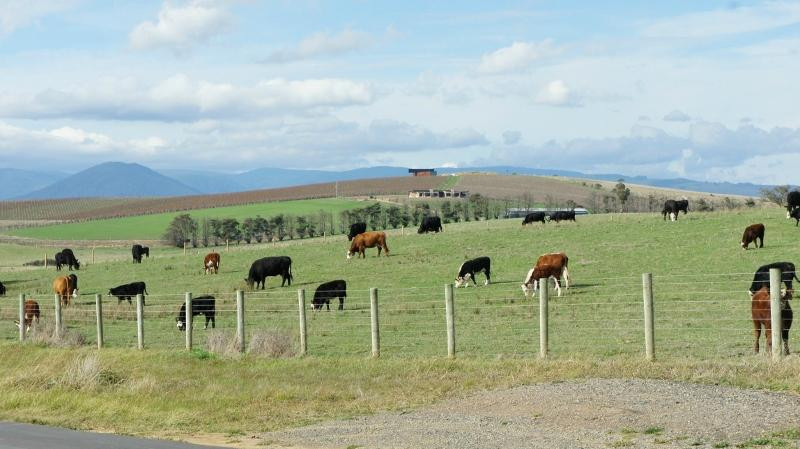 Melbourne Australia Tours-墨尔本必去景点