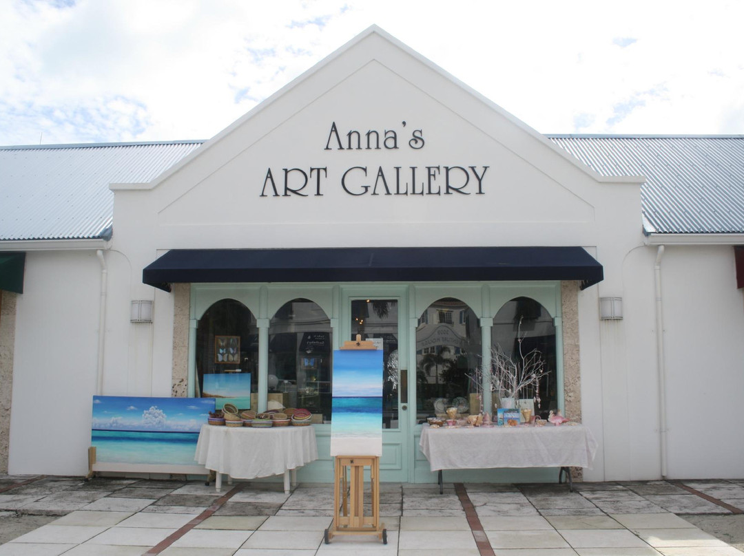 Anna's Art Gallery-普罗维登西亚莱斯必去景点