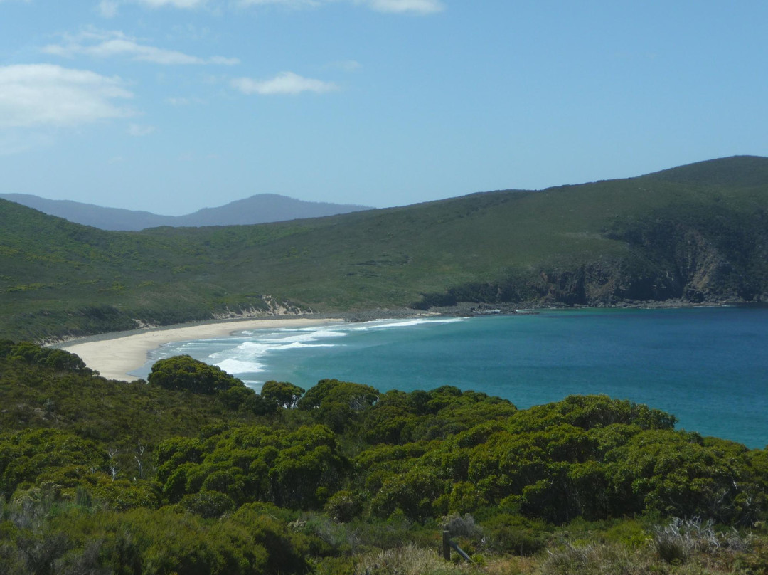 Bruny Island Safaris-霍巴特必去景点