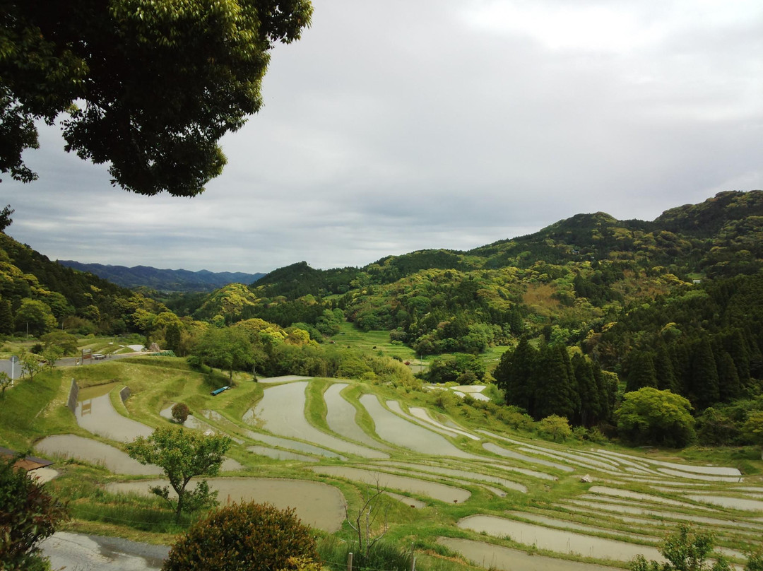 Oyama Rice Terraces-鸭川市必去景点