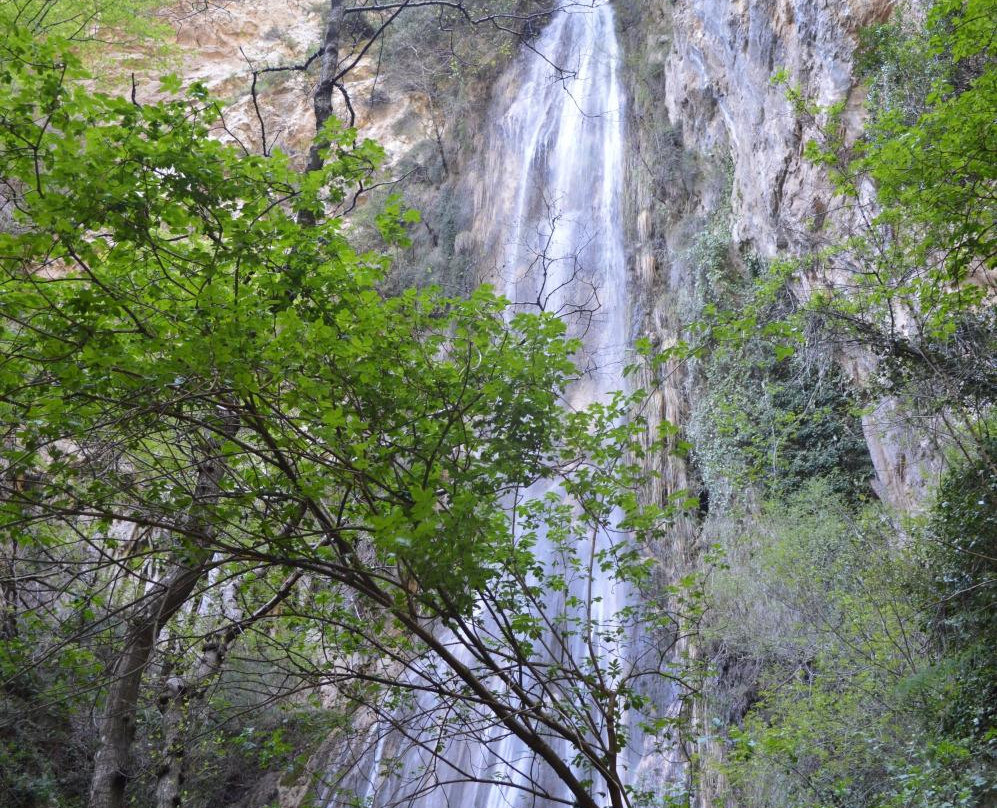 Valle delle Ferriere景点图片