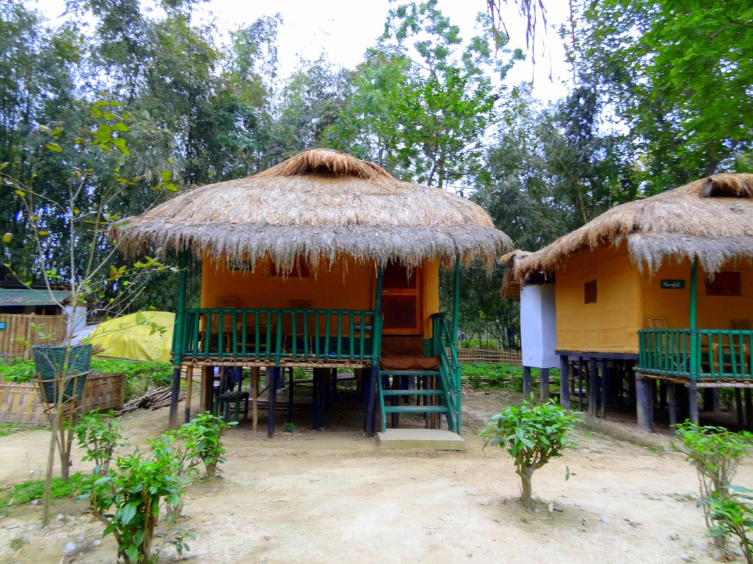 Nature Hunt Eco Camp