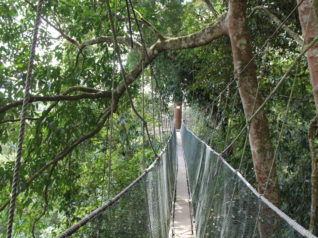 天蓬走道-亚庇必去景点