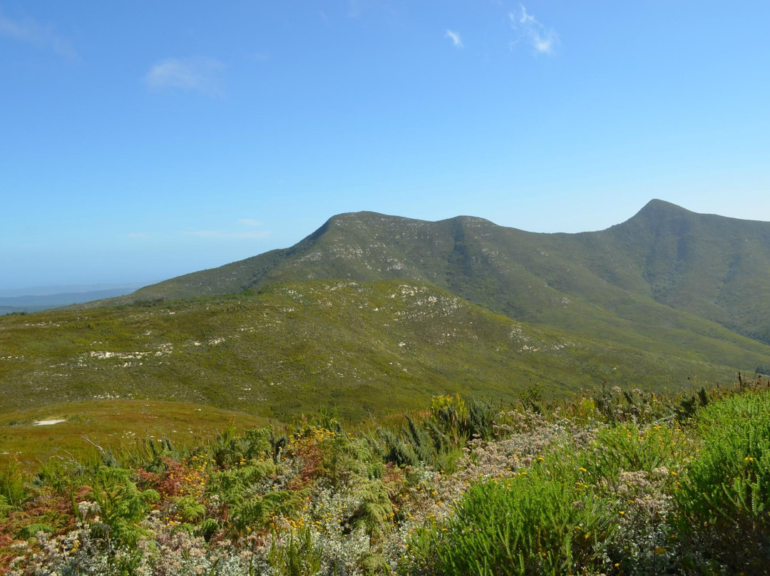 Spitzkop Viewpoint-克尼斯纳必去景点