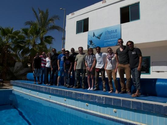 Eagle Divers Egypt-沙姆沙伊赫必去景点