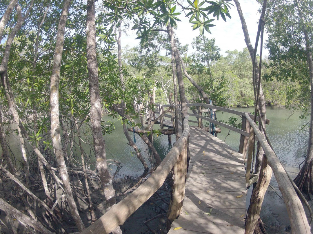 Olingo Surf and Nature Experiences-圣特雷莎必去景点