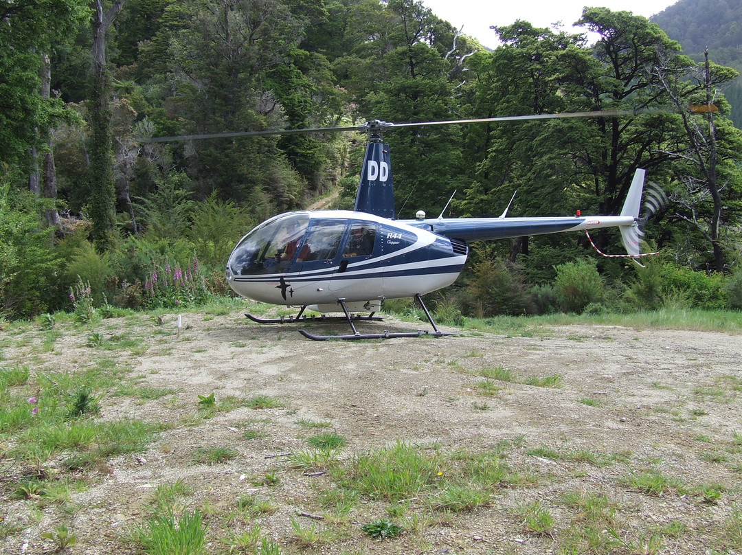 RidgeAir Fixed Wing Charters and Advanced Flight Training-布伦海姆必去景点
