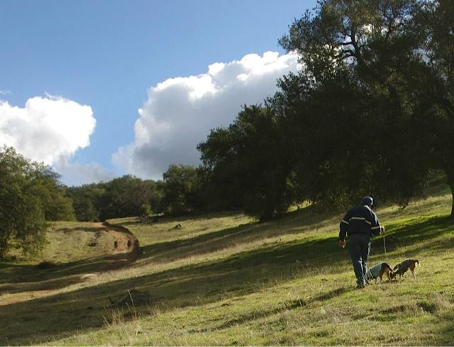 Santa Ysabel Open Space Preserve景点图片