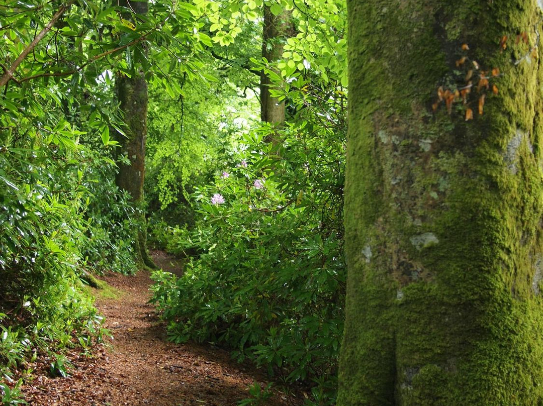 Upton Castle Gardens-Cosheston必去景点