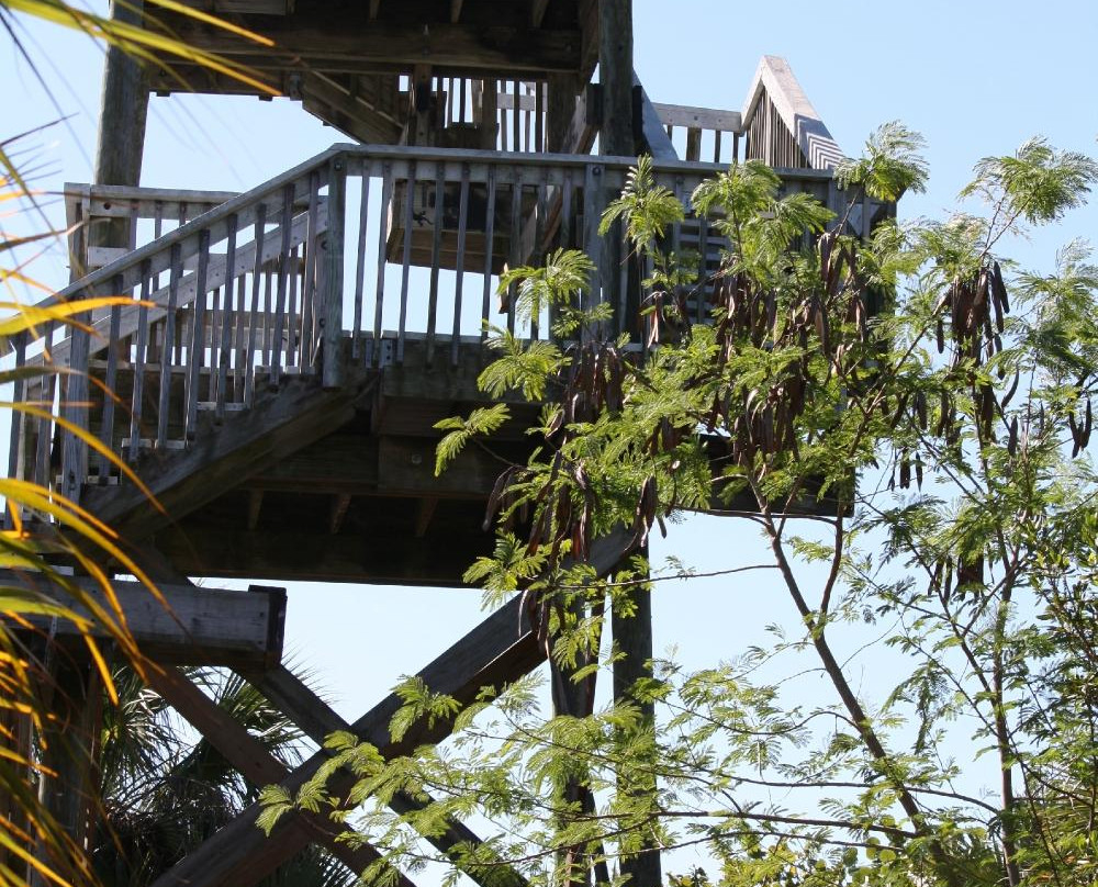 Rotary Park Environmental Center-开普科勒尔必去景点