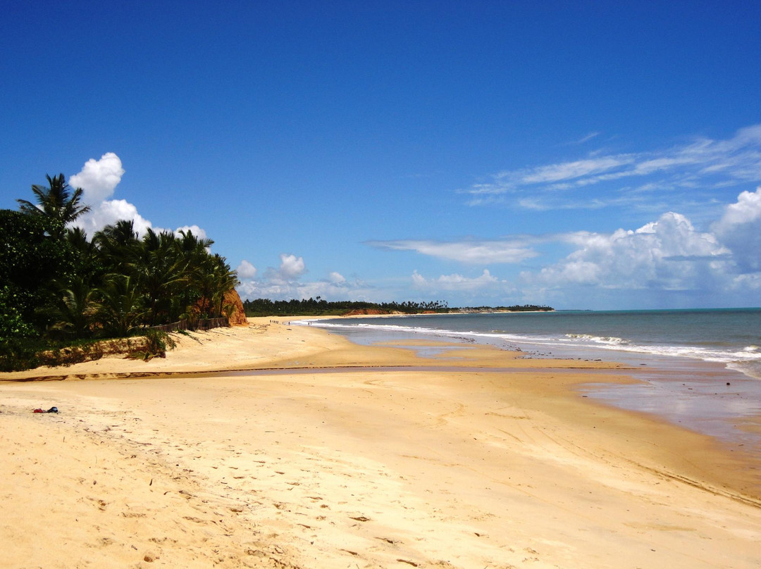 Barra do Cai Beach-Cumuruxatiba必去景点