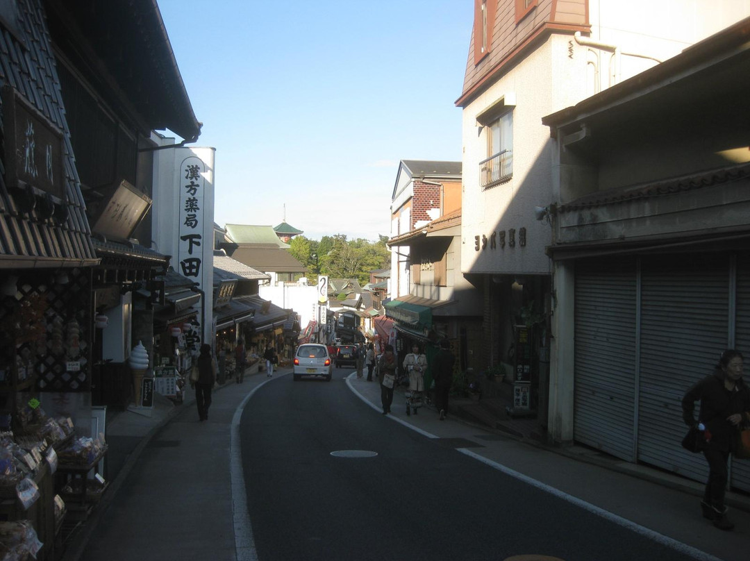 成田山表参道-成田市必去景点