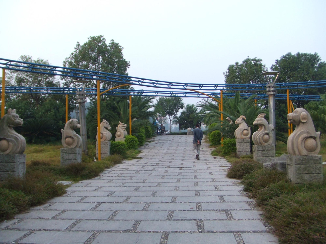沙阳乐园-沙县必去景点