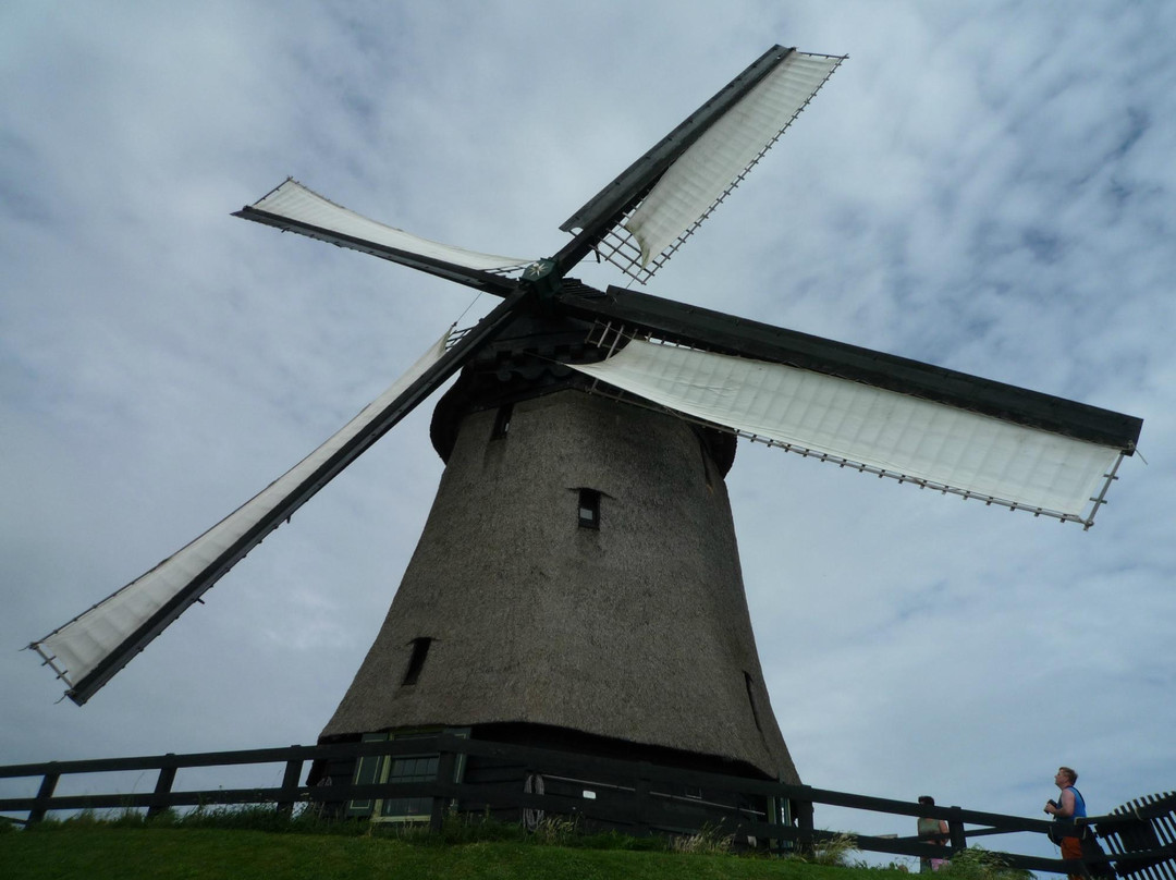 Museummolen Schermer景点图片