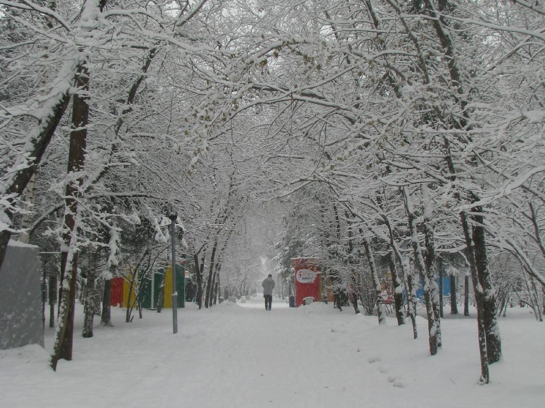 Central Park景点图片
