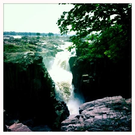 Green Wood Hotel主图