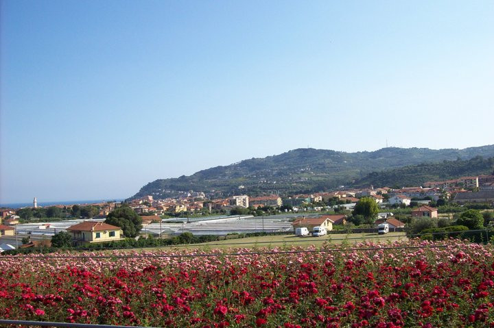 A. A. al Roseto