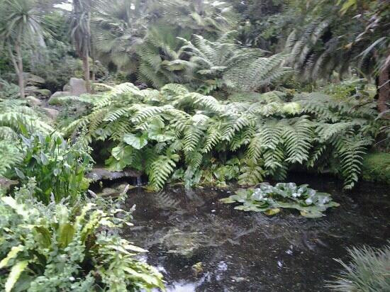 Jardin Exotique et Botanique de Roscoff-罗斯科夫必去景点