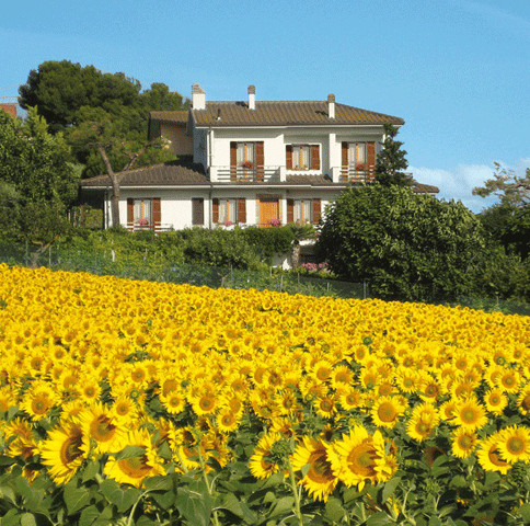 The Sea in The Middle Bed&Breakfast