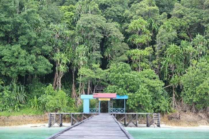 Kakaban Island景点图片