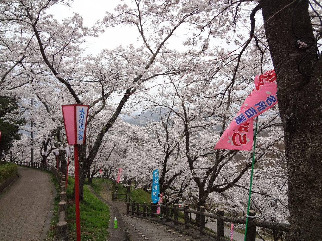 Oboshi Park景点图片