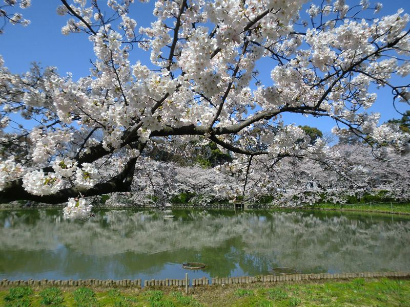 名城公园-名古屋市必去景点