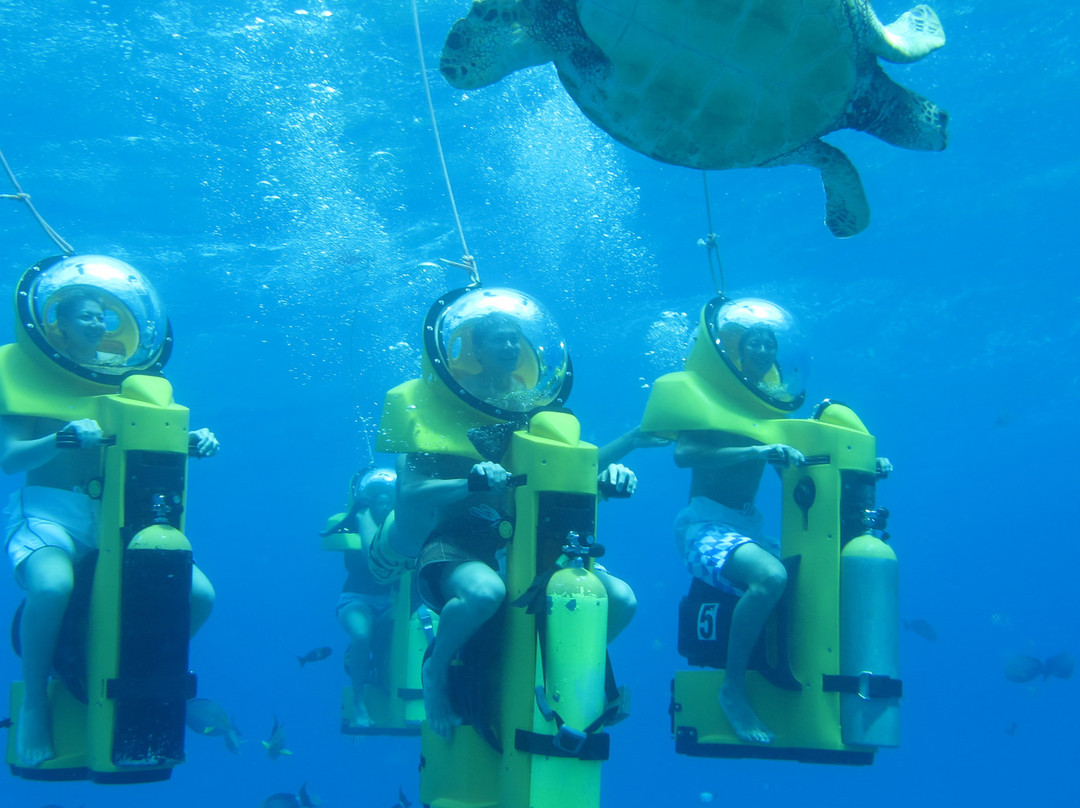 Island WaterSports Hawaii-火奴鲁鲁必去景点