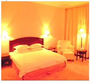 金都大酒店主图