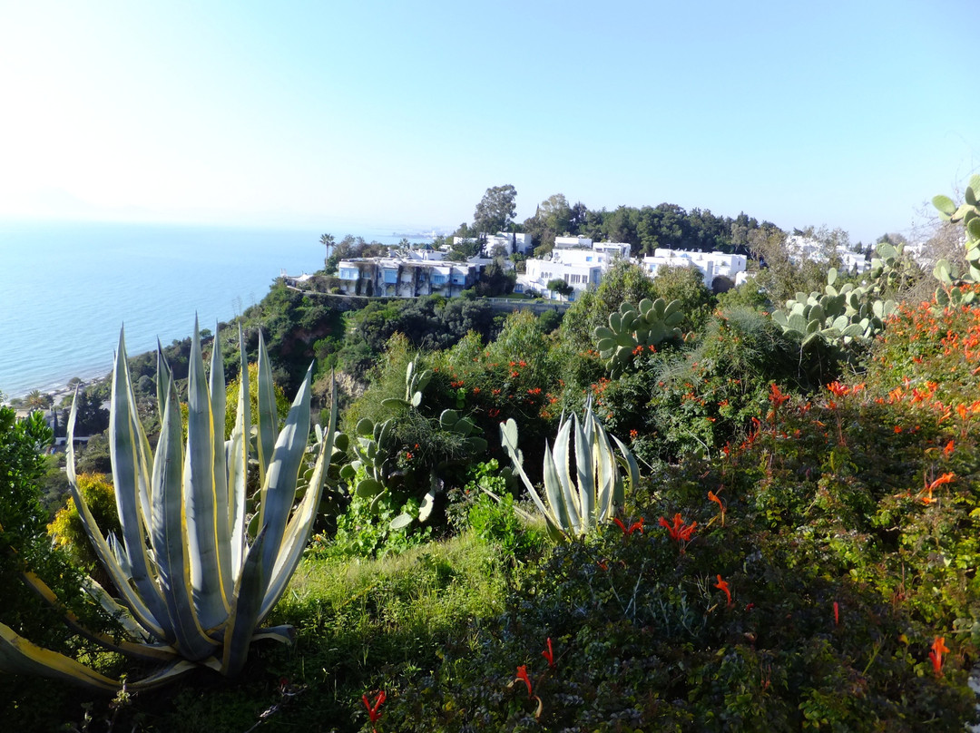 Dar Nejma Ezzahra 宫殿-蓝白小镇必去景点