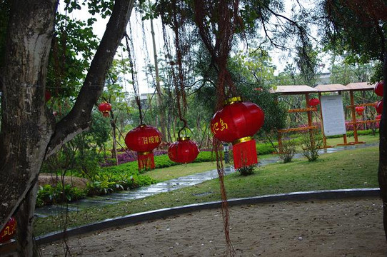 凤池岛酒店公寓主图