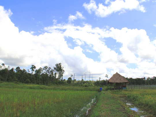Sawah Ladang Bintan-民丹岛必去景点