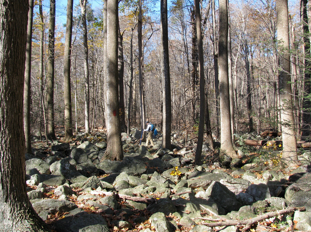 Hawk Mountain Sanctuary景点图片