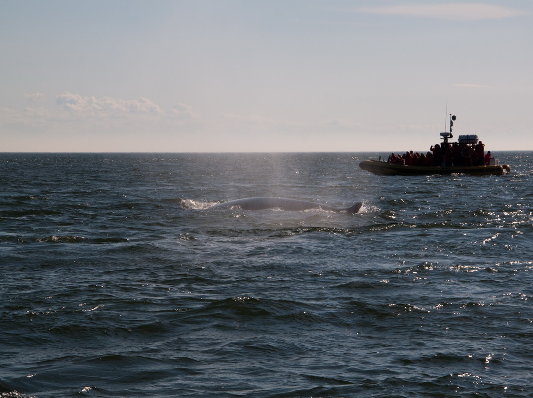 Otis Excursions-泰道沙克必去景点