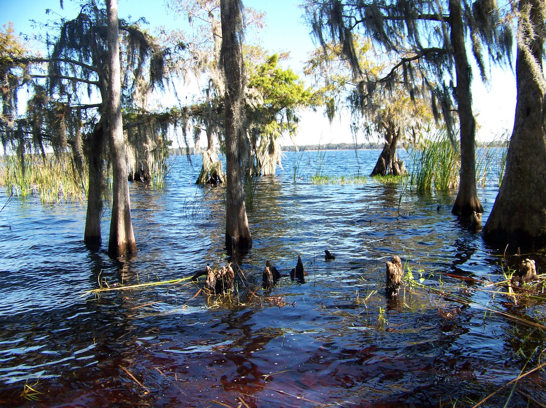 The Disney Wilderness Preserve-基西米必去景点