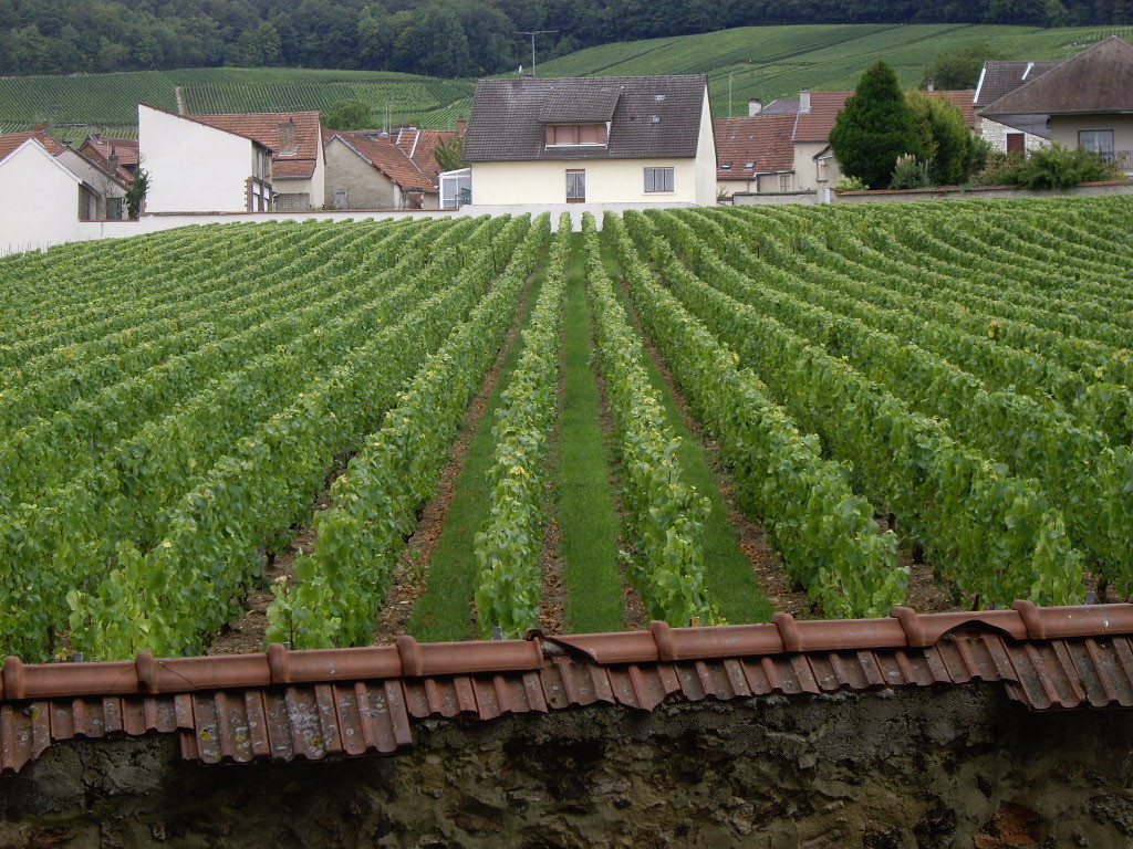 Champagne Route (Route Touristique du Champagne)-Marne必去景点