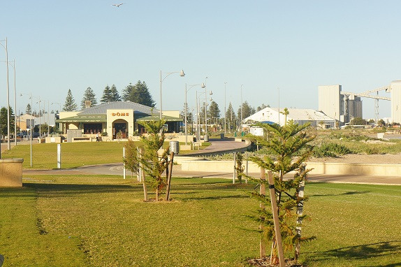 Aveley餐馆和美食-Dome Cafe - Morley