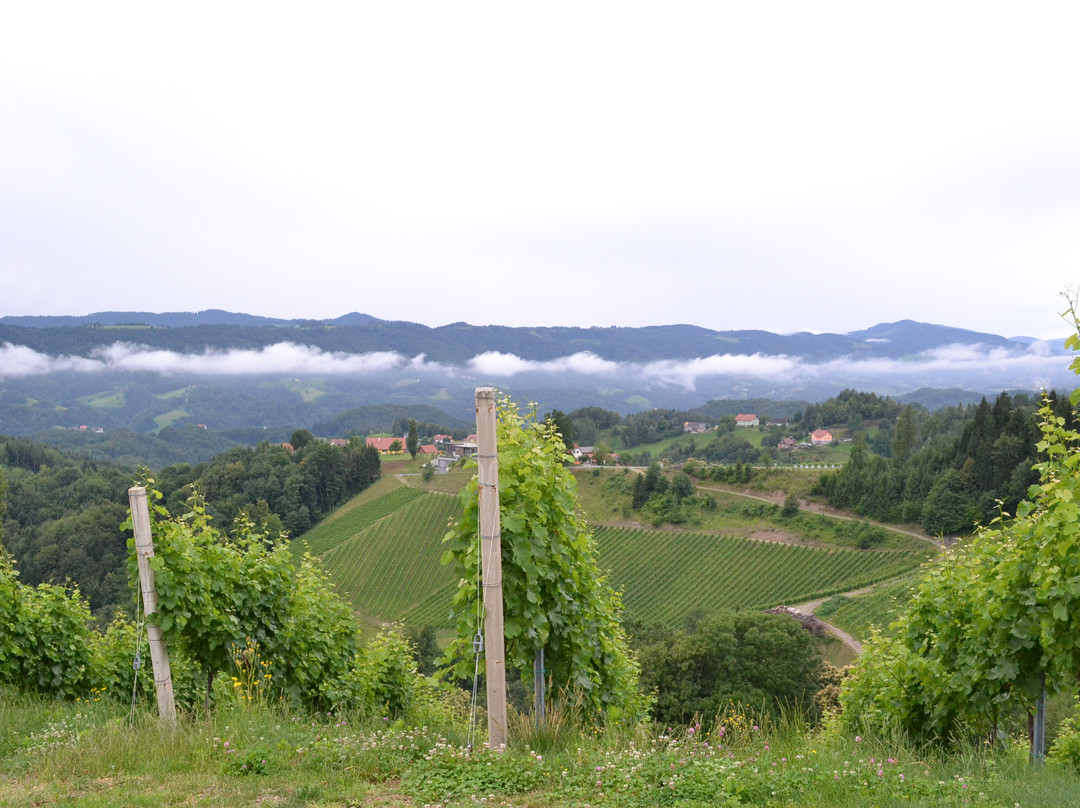 Die Südsteirische Weinstraße景点图片