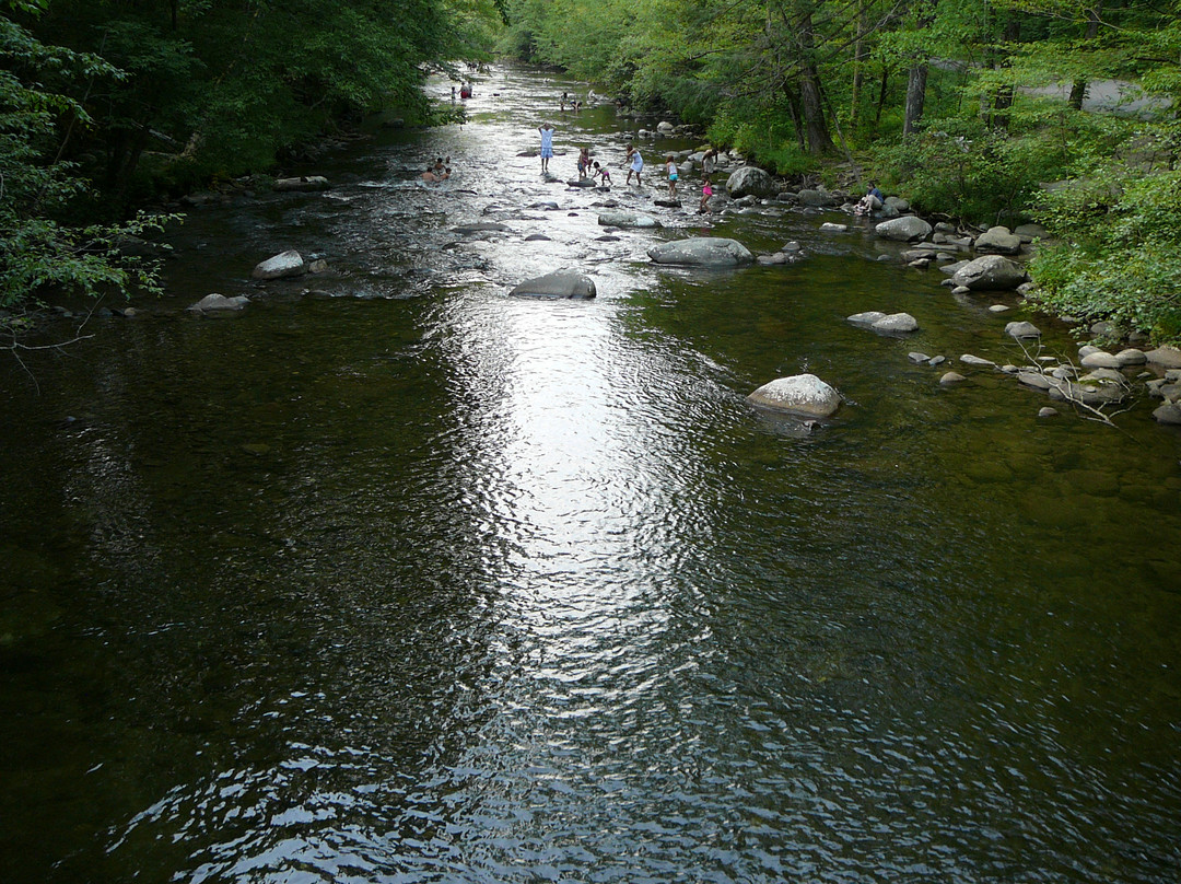 Metcalf Bottoms Picnic Area-大雾山国家公园必去景点