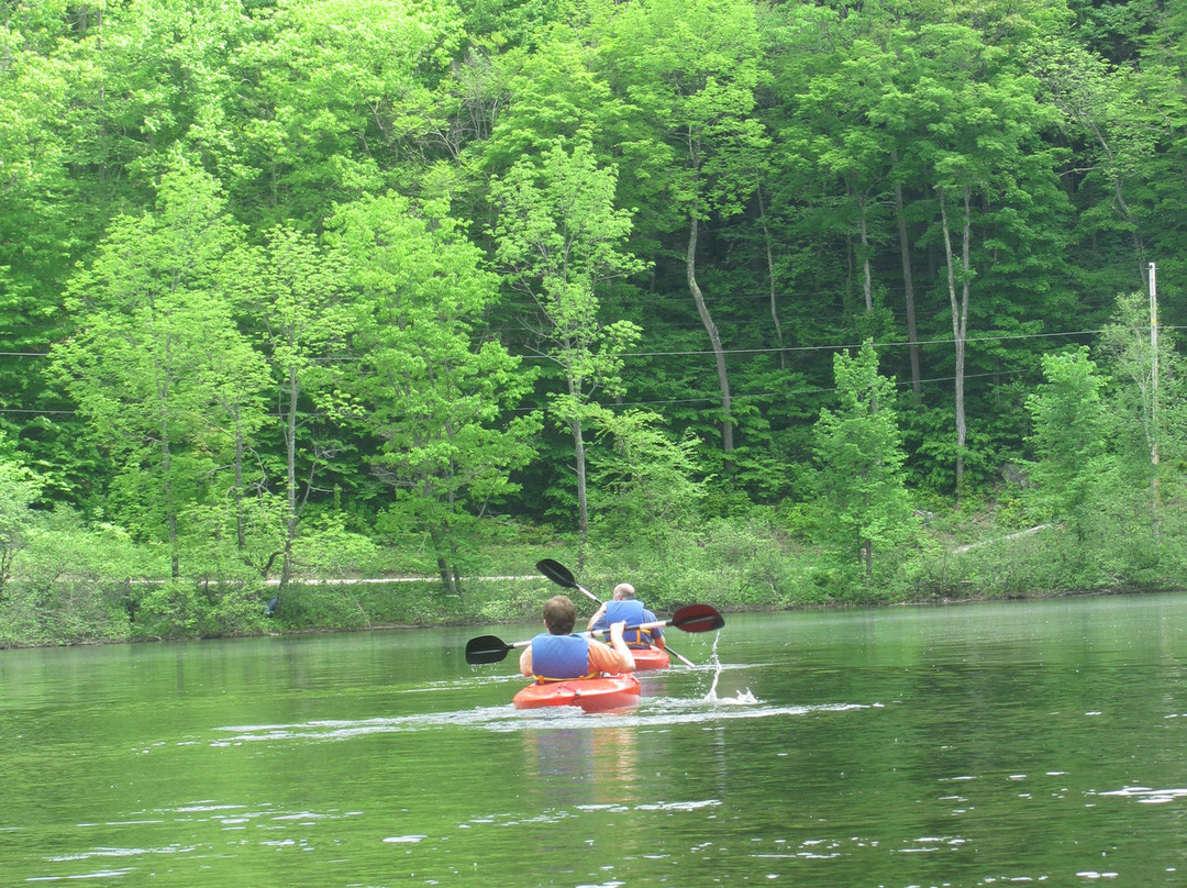 Wilgus State Park主图