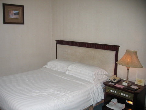 绵阳王子大酒店(高铁站万达广场店)-客卧