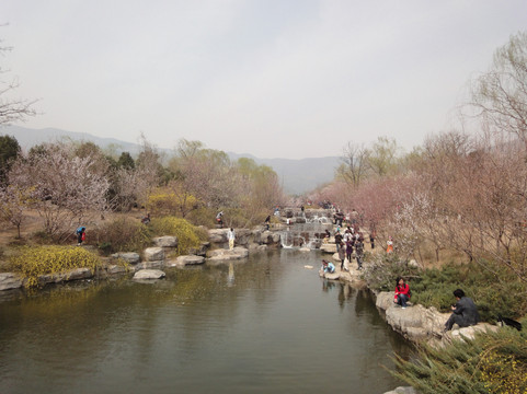 北京植物园樱桃沟-北京市必去景点