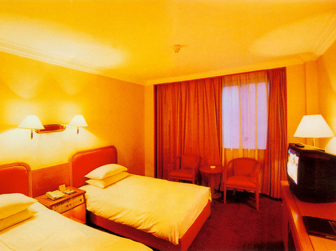 多瑙河大酒店主图