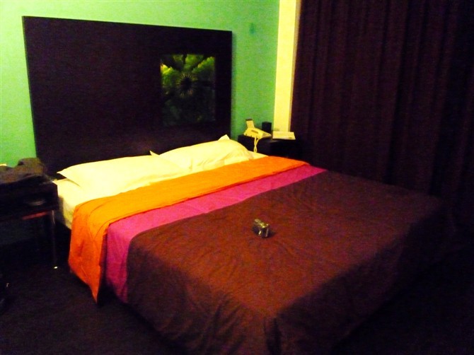 锦江之星品尚(沈阳站中山公园店)-客卧