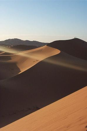 Merzouga Dunes-伊拉悉迪亚必去景点